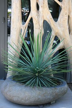 性冷淡风最好的方法,性冷淡风如何用药