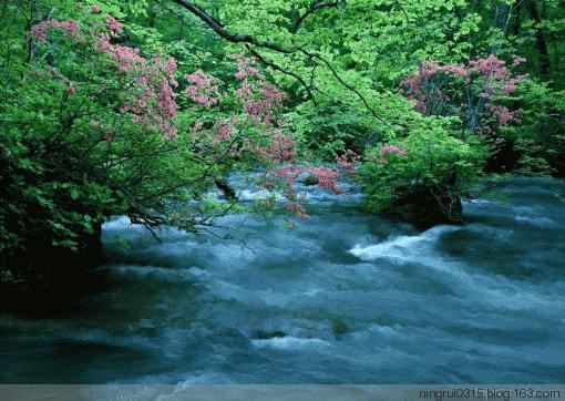 古诗词中的溪水|溪花与禅意相对亦忘言