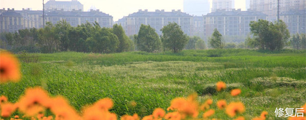 城市双修是什么,城市双修纪实