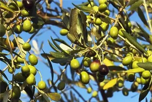 这个周末，金华人在家门口就能淘到进口货！更有万国嘉年华等你来