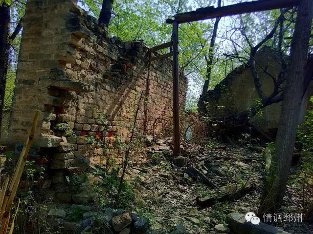 奔跑在路上看风景,奔跑着看风景视频