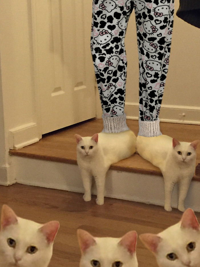 喵星人被恶搞了,喵星人下楼梯