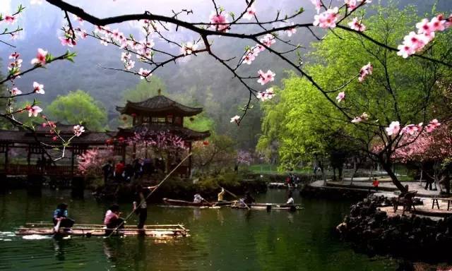 春节重庆免费景点大全,重庆自驾免费景点