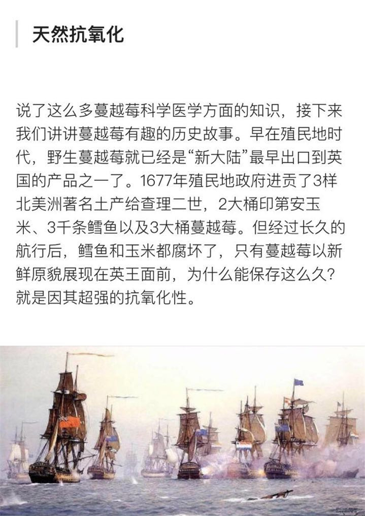 北美的红宝石蔓越莓,蔓越莓北美红宝石