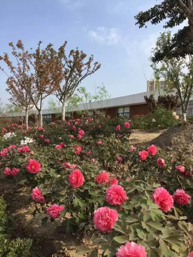 汉中市城固县滨江新区,汉中滨江新区干嘛的