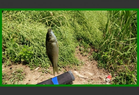 閲庨挀鐑х儰缁濅匠鐮佸ご,鎺ㄨ崘閽撻奔鐑х儰
