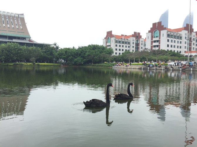 鼓浪屿自驾游全攻略,厦门鼓浪屿登岛全攻略