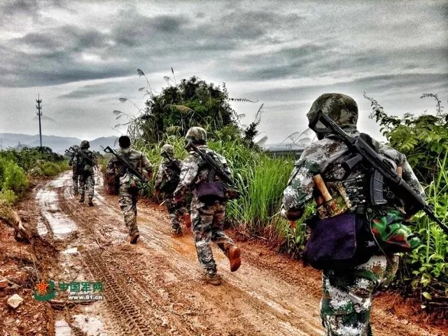 一纸命令全文,一纸命令能执行到位吗