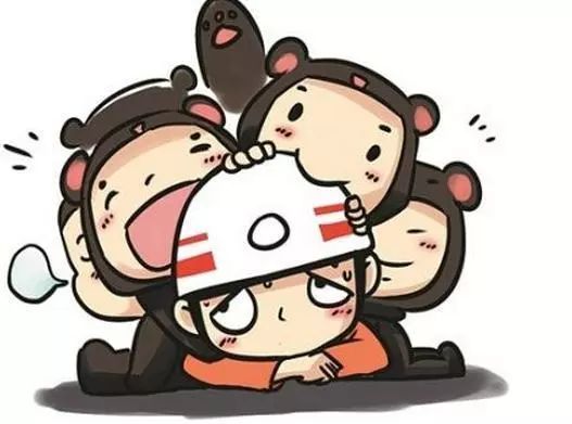 屋里发现一只蜘蛛,屋子里发现蜘蛛