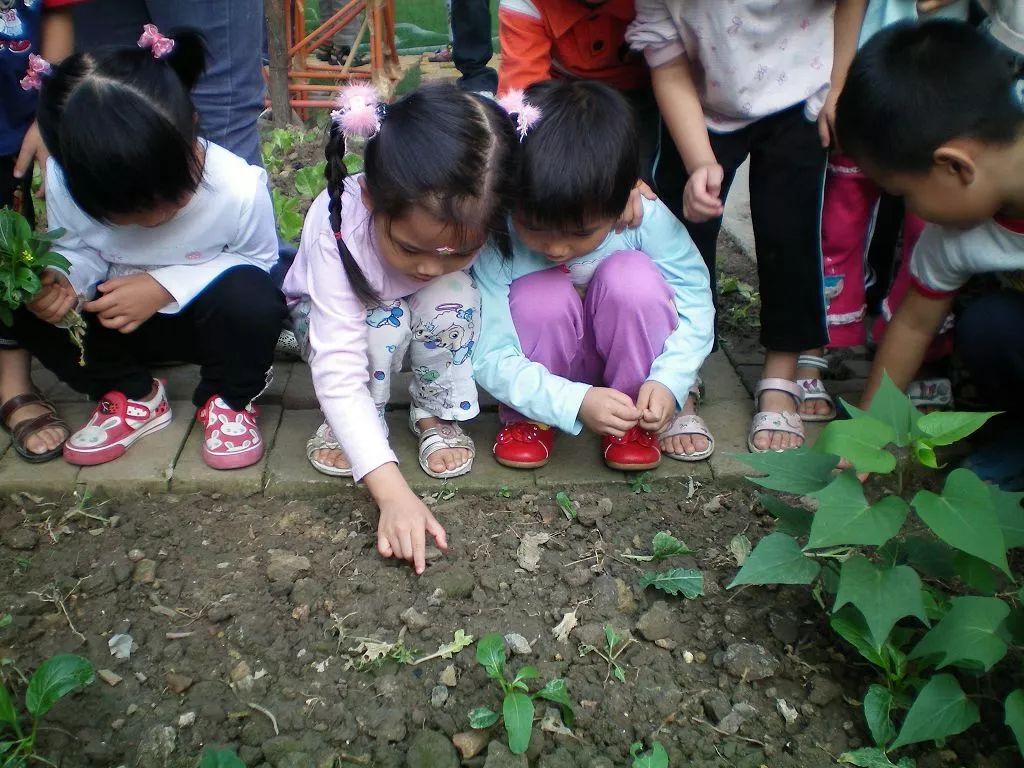 1985年前民办幼儿园老师的出路,大沥民办幼儿园