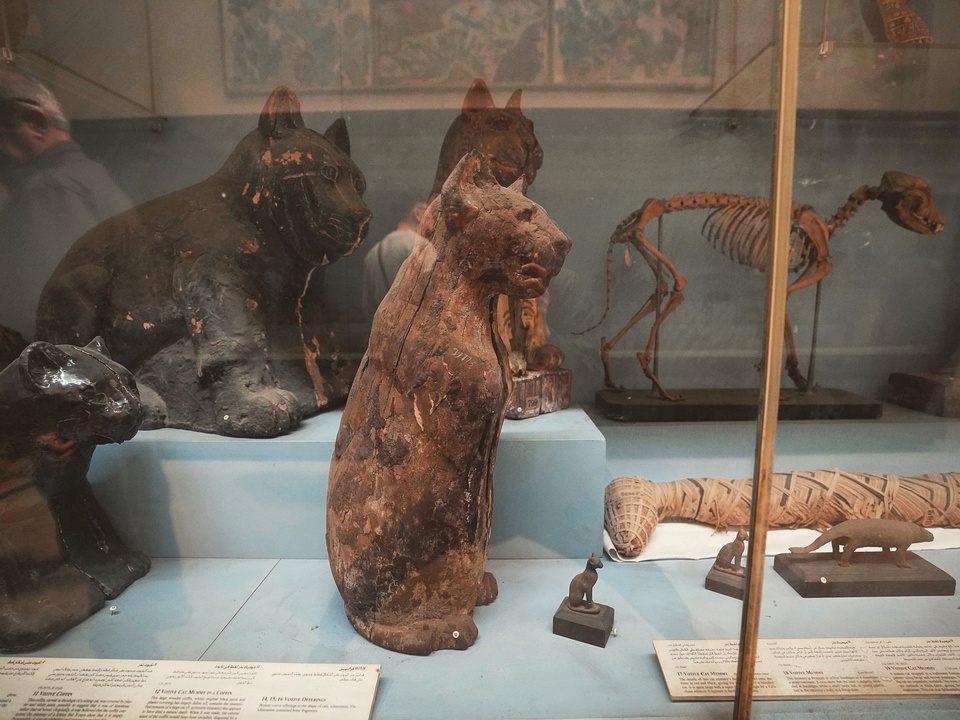 豆瓣日记:埃及历险记：与埃及人斗智斗勇的另类旅程