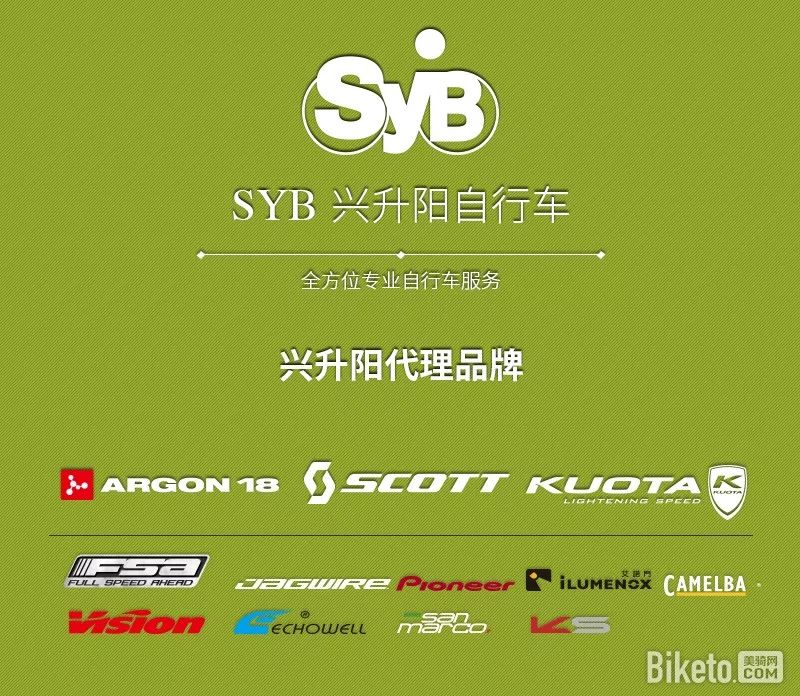 最新年度品牌销售排行榜,2018单品销量世界前十