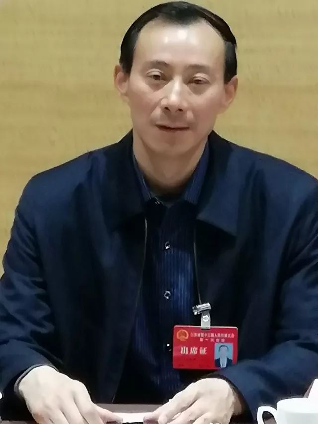 新时代检察履职解读十问,人大代表热议检察工作