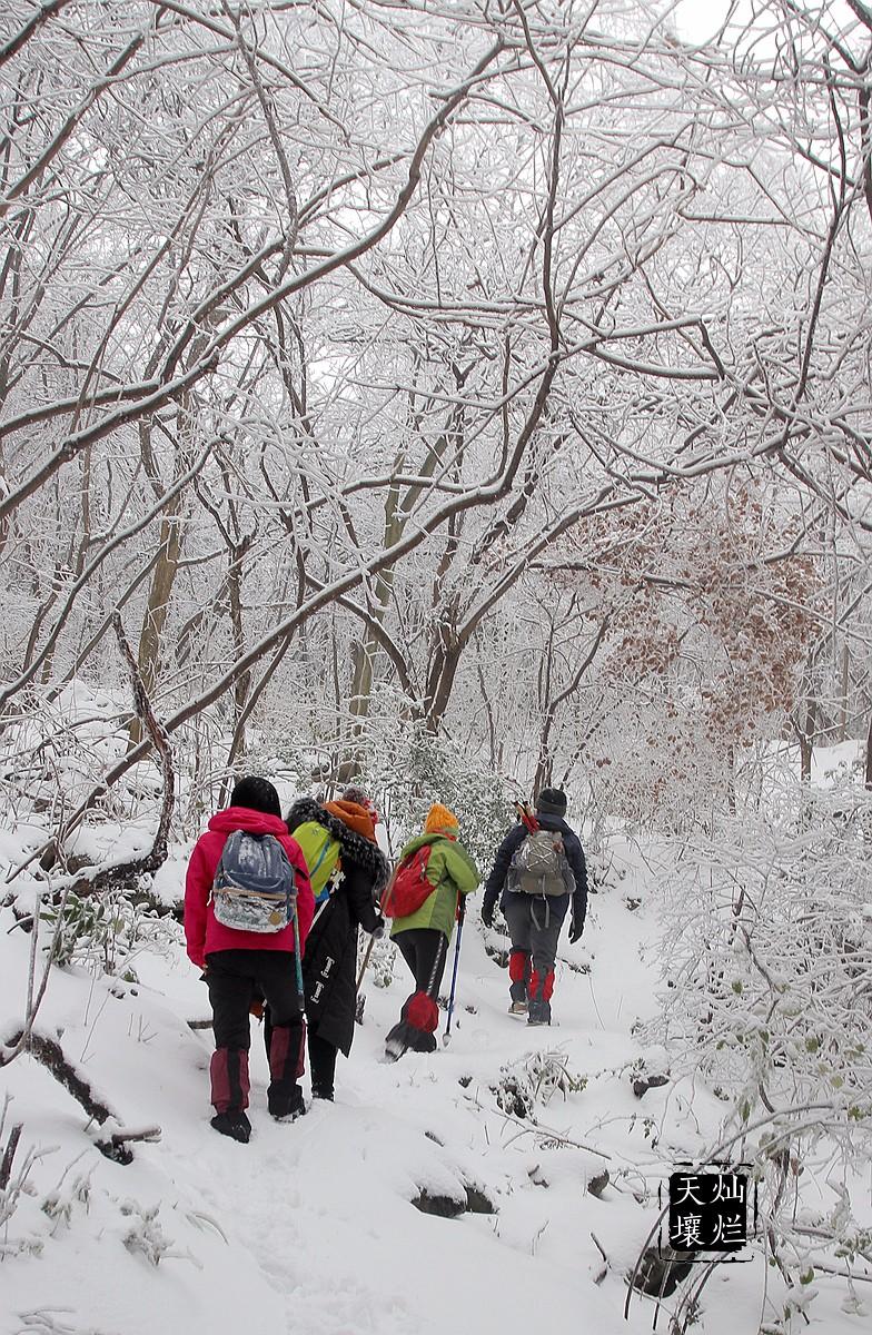 赏雪何须去北国,赏雪不用去远方
