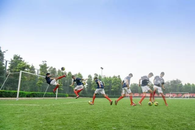 电子科技大学招生章程,电子科技大学2021年高水平运动队