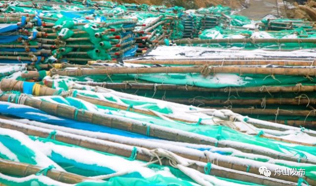 舟山市冬季最低温度,舟山市冬季天气最冷怎么样