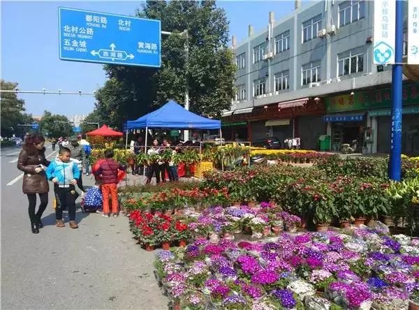 广东佛山花市游玩攻略,广东省佛山市行花街
