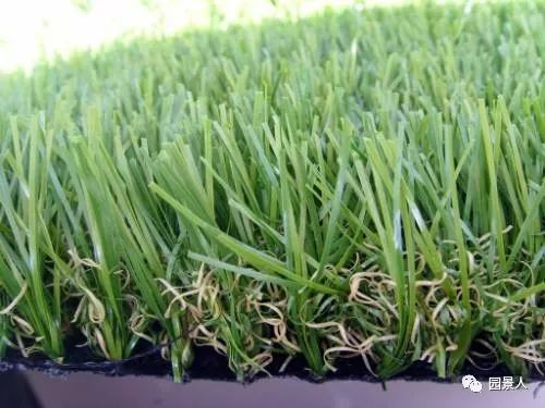 新铺的草坪怎么维护,草坪怎么维护保养