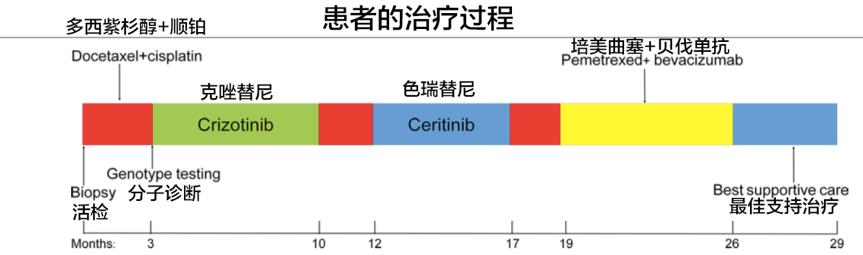 alk阳性肺癌耐药成功案例,肺癌alk阳性晚期能痊愈吗