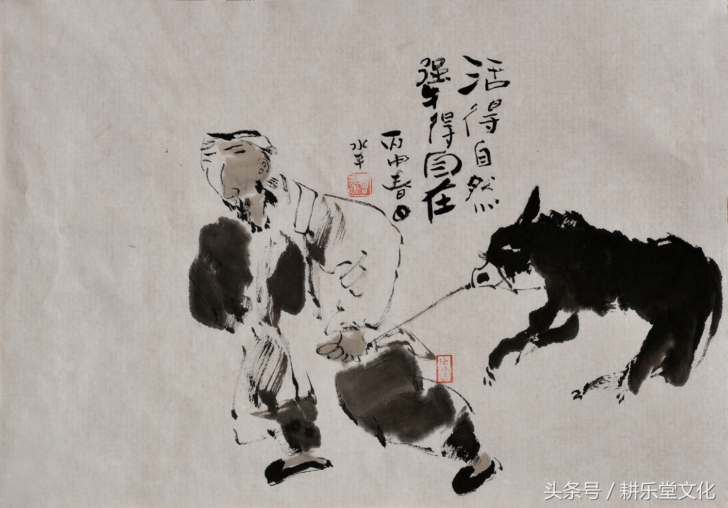 美女作家画驴,画出了浓郁的泥土气息