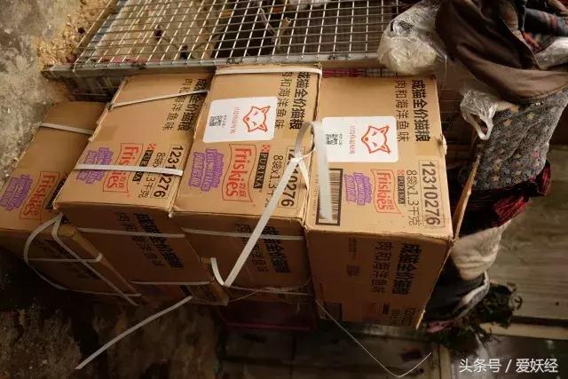 爱妖经陪你过暖冬｜爱要有你才温暖