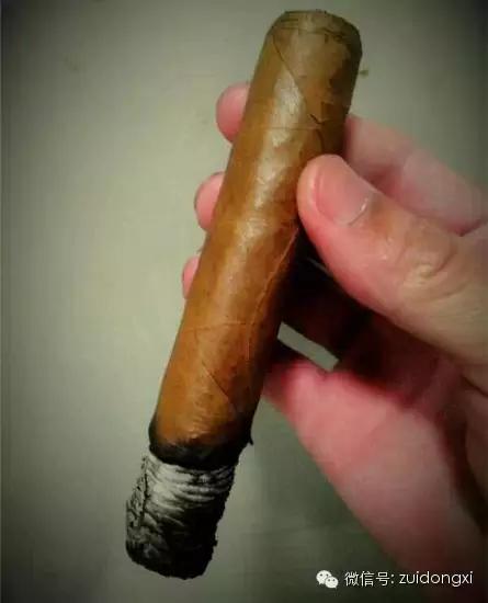 不曾驯服的野性,随风而逝