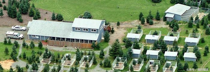 优良犬舍,中国优秀犬舍