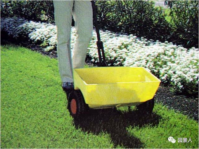 新铺的草坪怎么维护,草坪怎么维护保养