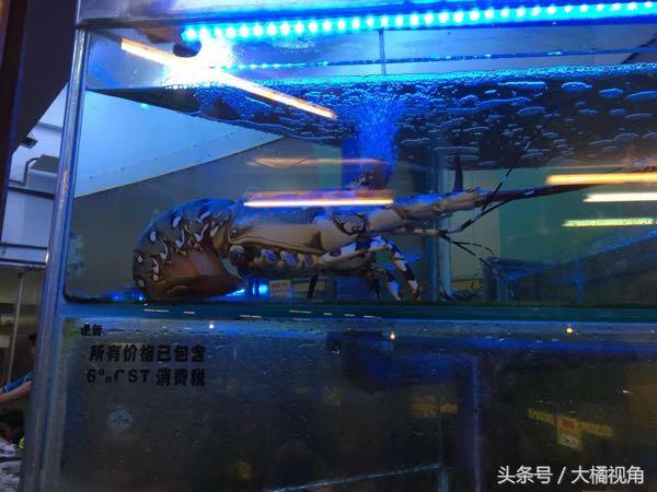 仙本那海岛游玩,仙本那海岛度假