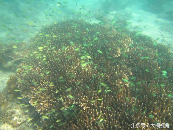 仙本那海岛游玩,仙本那海岛度假