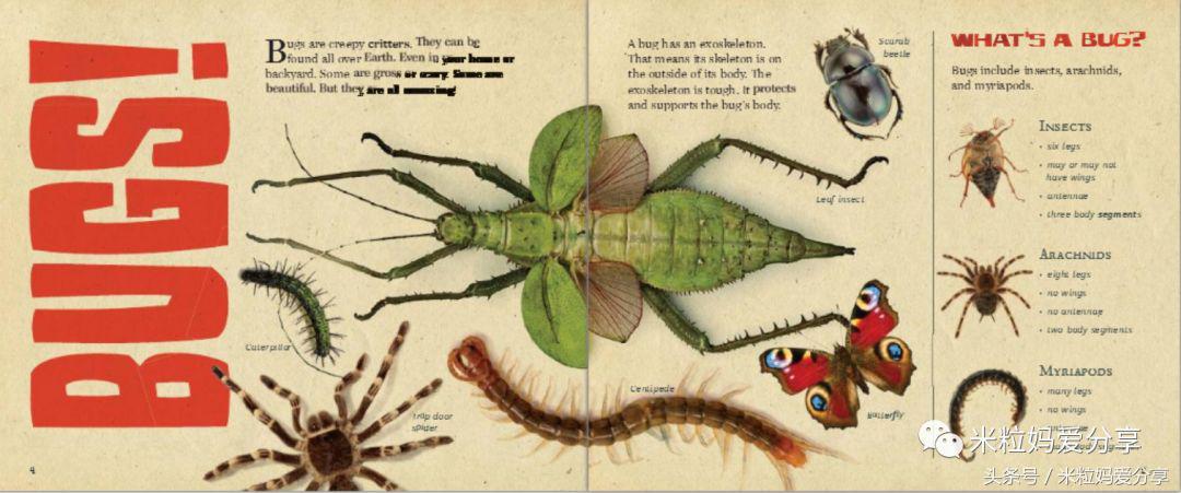 世界上最棒的英文,世界最好用的学习网站