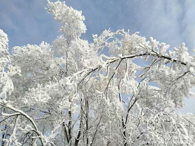 长白山雾凇天池,天池雪霁