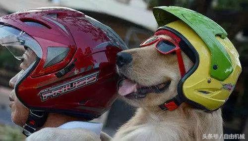 选择头盔主要看哪些,如何正确选择头盔