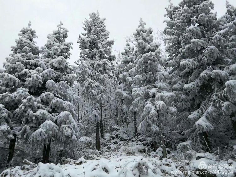 长白山雾凇天池,天池雪霁