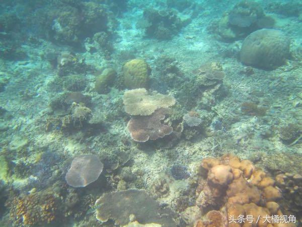 仙本那海岛游玩,仙本那海岛度假