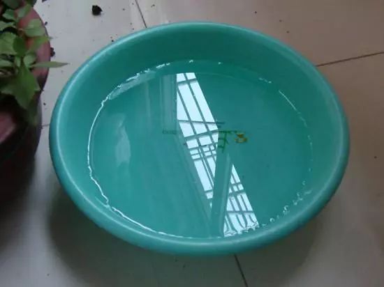 除甲醛最有效的谣言,怎么清除甲醛的谣言