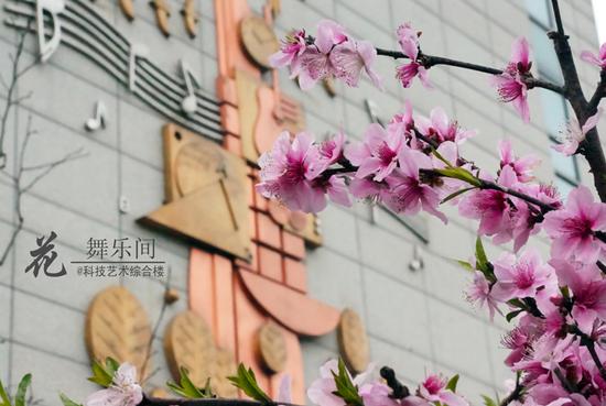 纯正石室血统8大逆天实力不得不服！她是公办新贵石室天府