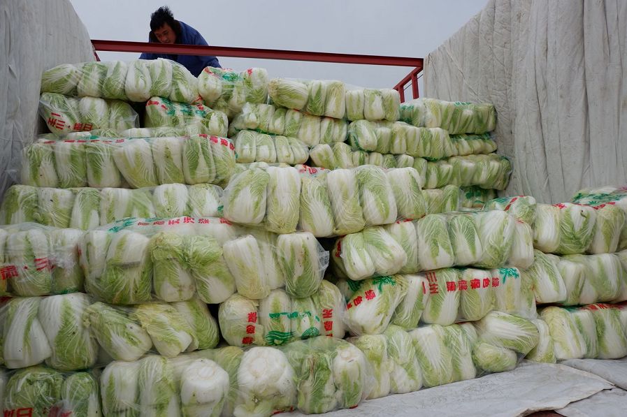 美菜在行动｜郑州美菜订单15000斤娃娃菜，现已发车！