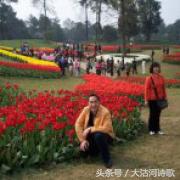 同题诗歌——《冬之恋》45首~总汇