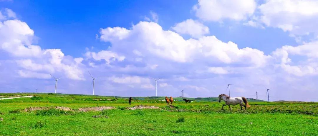 成都到贵州游玩的景点推荐理由,从成都到贵州旅游攻略自由行