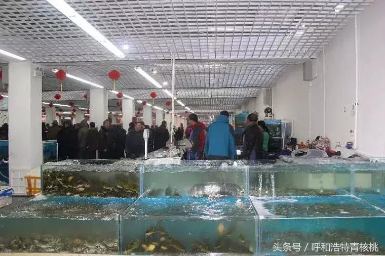 呼和浩特年货必买清单,呼和浩特年货大集指南