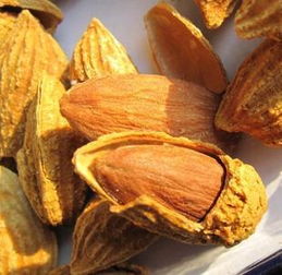 从新疆回去带点什么特产东西好呢,过年回家带的土特产