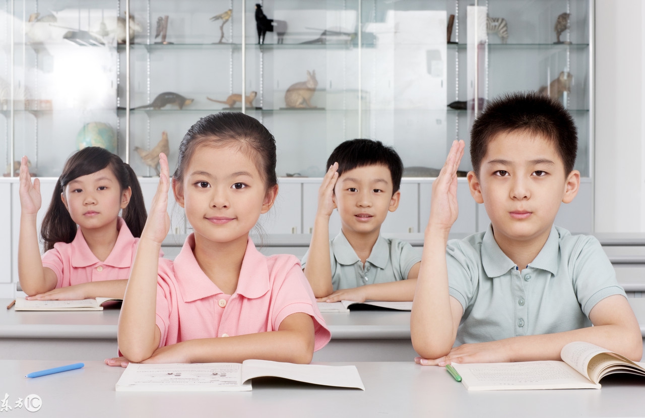 小学所学的英语动词短语,have开头的动词短语小学