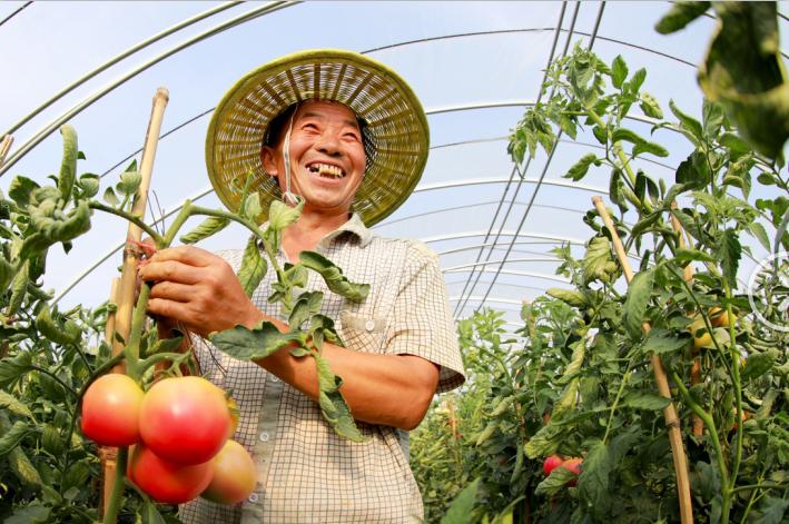 最新洛阳热议新闻,2018年洛阳新闻头条