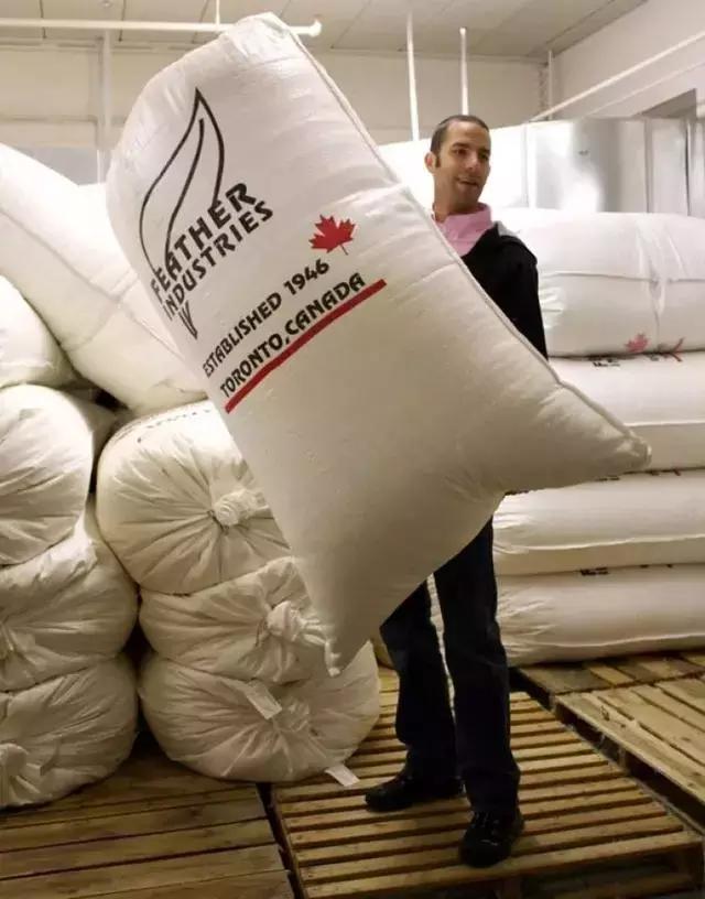 新零售如何做电商运营,加拿大鹅品牌怎么营销起来的