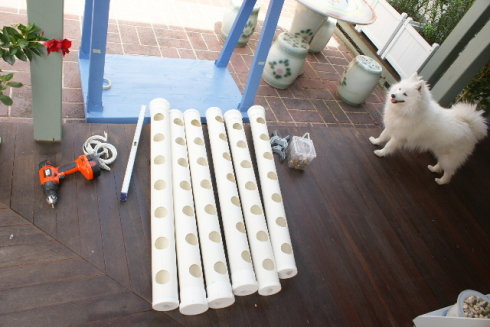 以色列室内无土栽培蔬菜方法,家庭小型无土栽培蔬菜技术