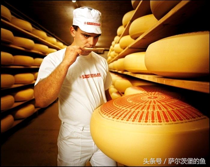 杰瑞吃的奶酪好吃吗,杰瑞鼠最爱的奶酪