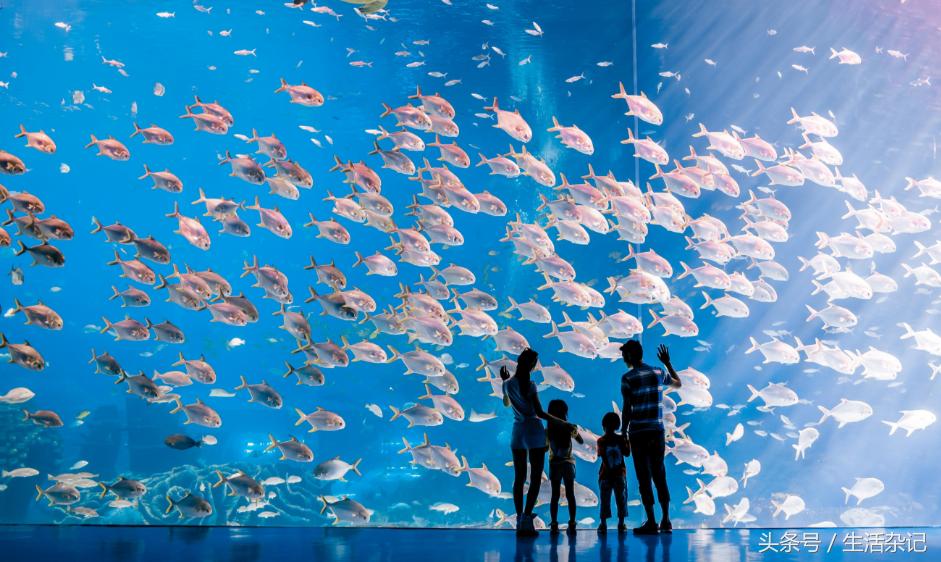 你眼里的珠海,珠海人眼中的各个地方