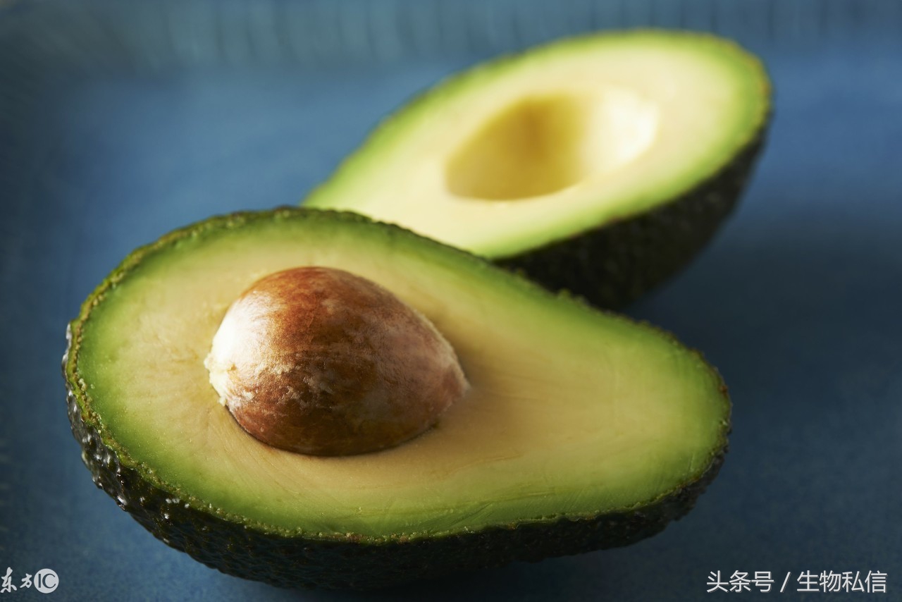 油梨牛油果介绍,夏威夷鳄梨牛油果
