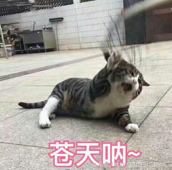 绝地求生那些离谱的挂合集,绝地求生最厉害的挂